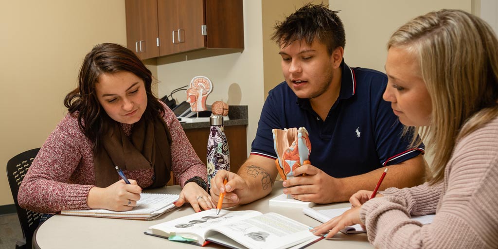 speech and occupational therapy students