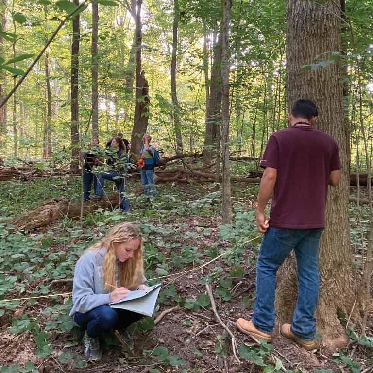 A group of students working in the forrest